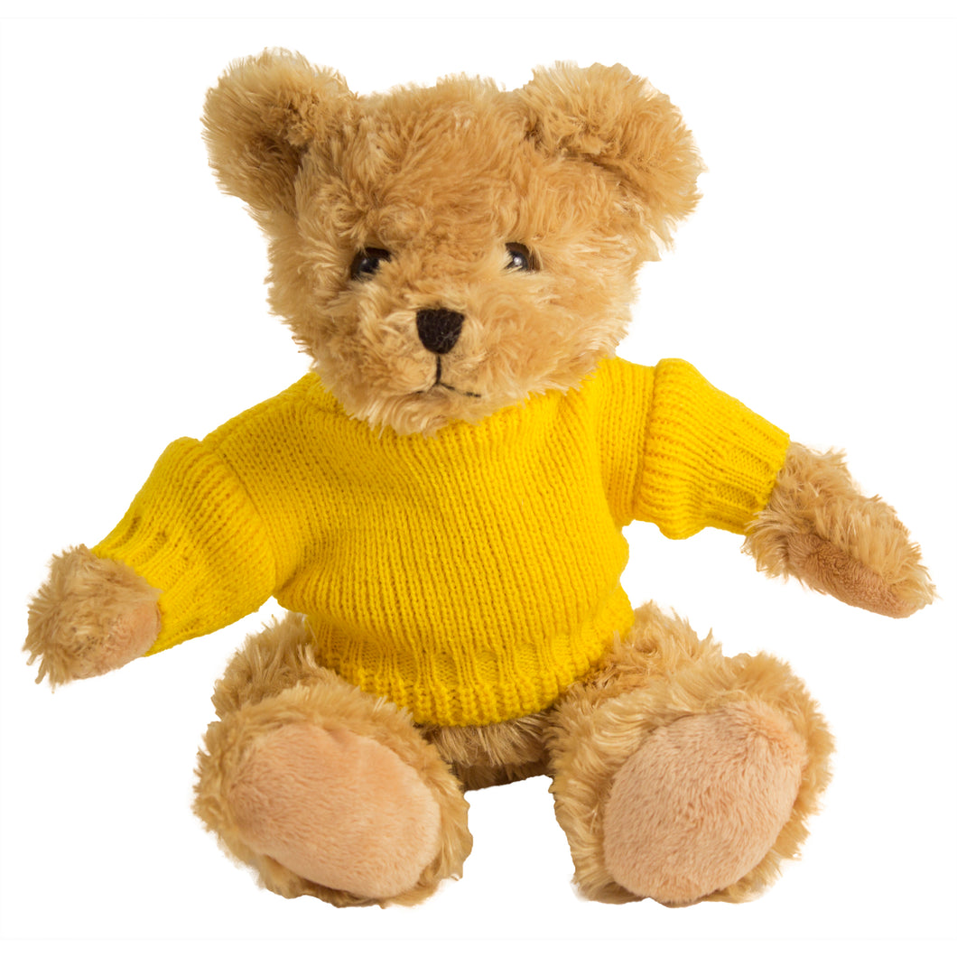 Fudge Bear (Medium) with Personalised Sweater