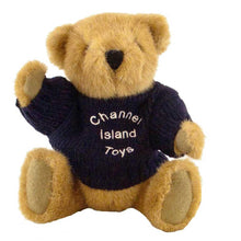 Load image into Gallery viewer, Buster Bear with Personalised Sweater
