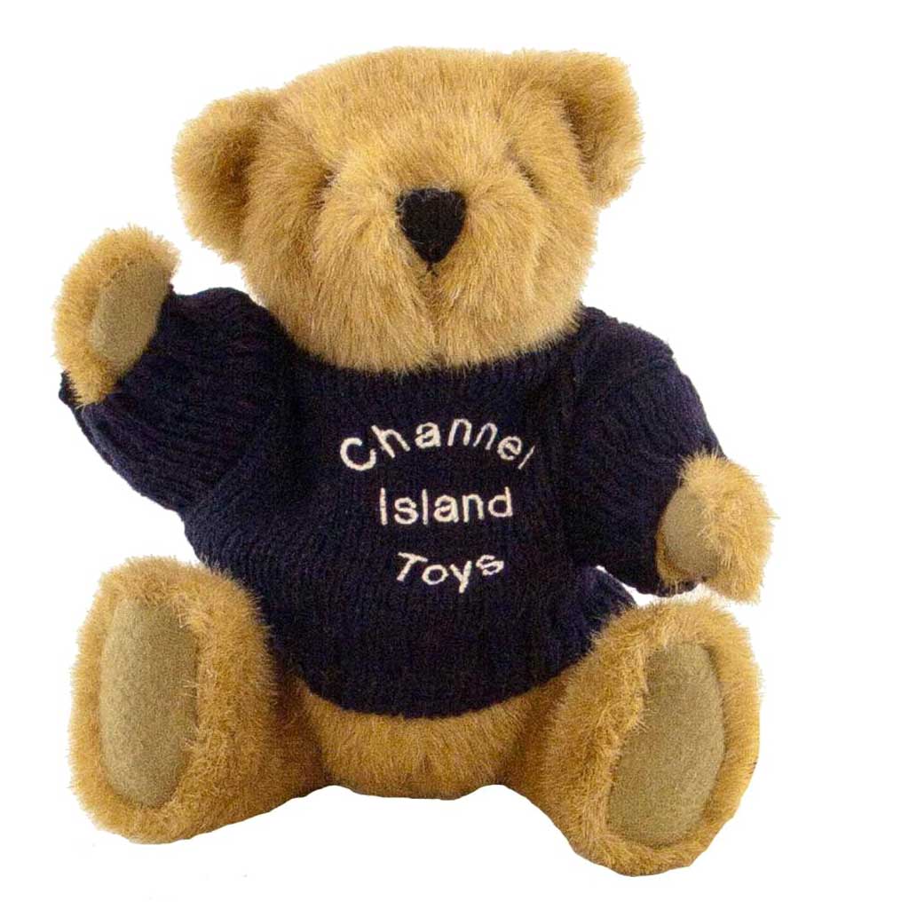Buster Bear with Personalised Sweater