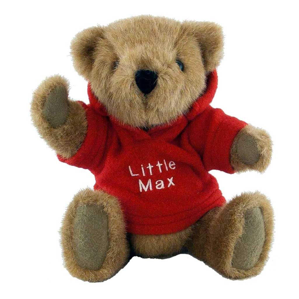 Buster Bear with Personalised Hoody