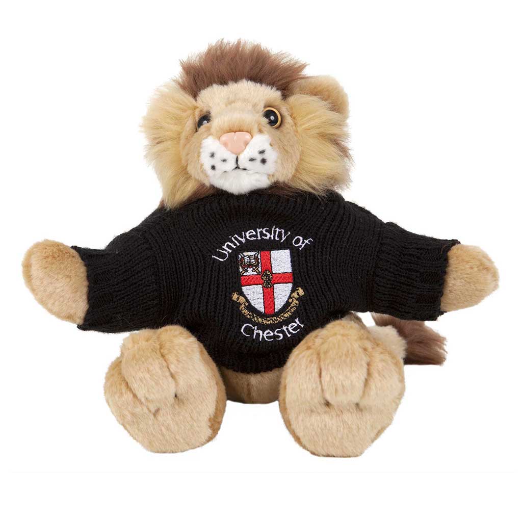 Leo Lion with Personalised Sweater