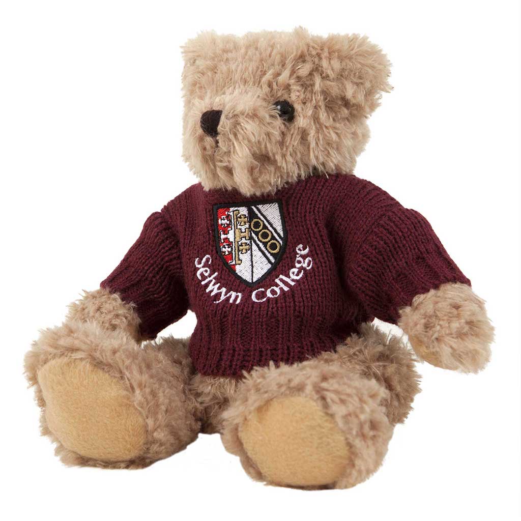 Theo Bear with Personalised Hoody